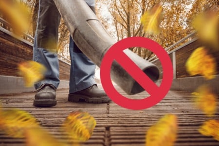 florida leaf blower ban