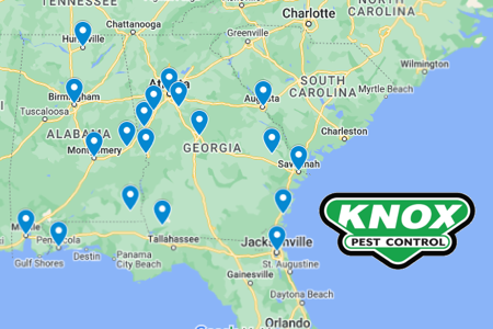 Knox Pest Control Acquries Florida Pest Control Business