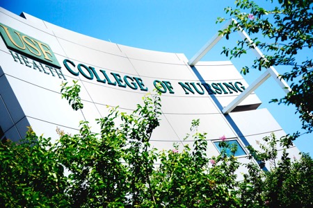 tampa general usf nursing program funding