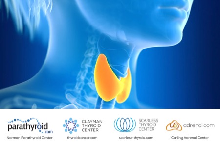 tampa hospital for endocrine surgery world record
